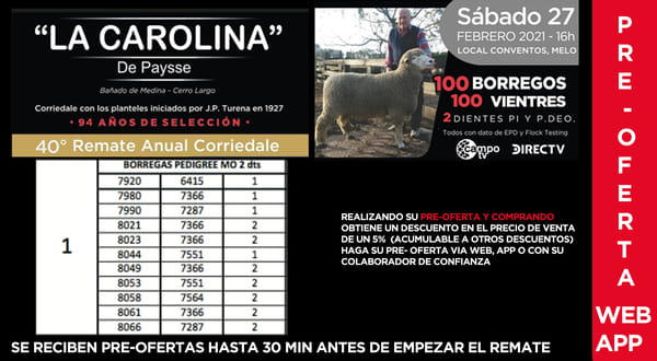 Lote 11 Borregas en Cerro Largo, Cerro Largo