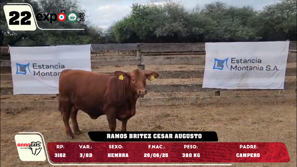 Lote LOTE 22