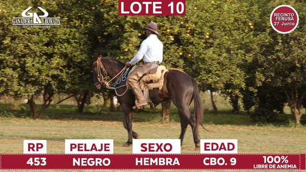 Lote Reproductores de Alborada - Lote 10