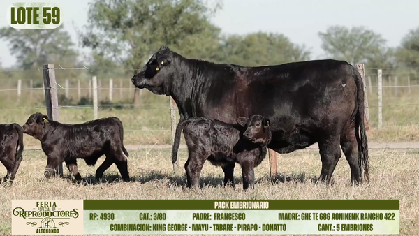 Lote LOTE 59