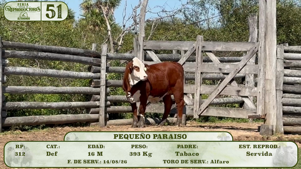 Lote LOTE 51