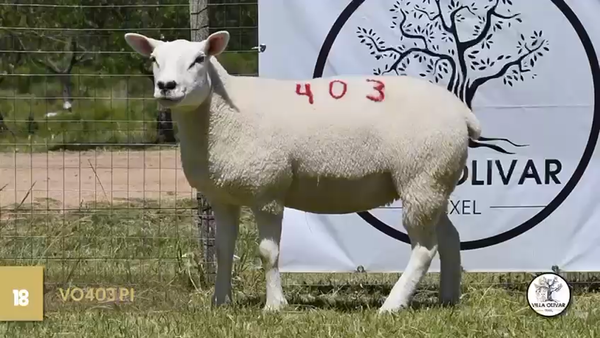 Lote Borregas, Canelones