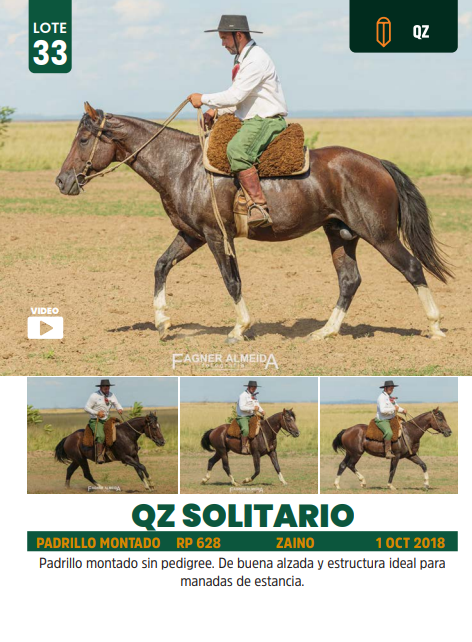 Lote LOTE 33