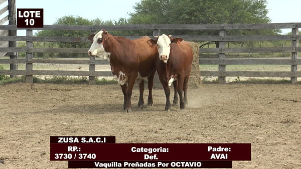 Lote Cabañas de Tradición - Lote 10
