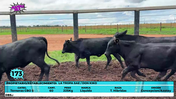 Lote LOTE 173