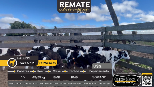 Lote 10 Terneros en José Enrique Rodó, Soriano