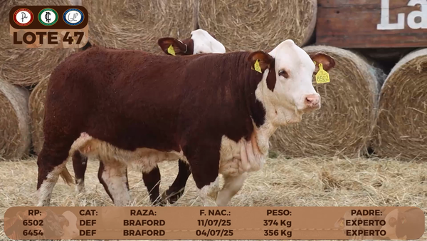Lote LOTE 47- RESERVA DE CABAÑA