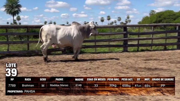 Lote Brahman