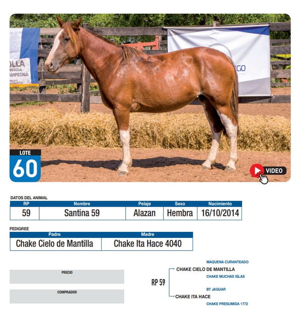 Lote Santina 59