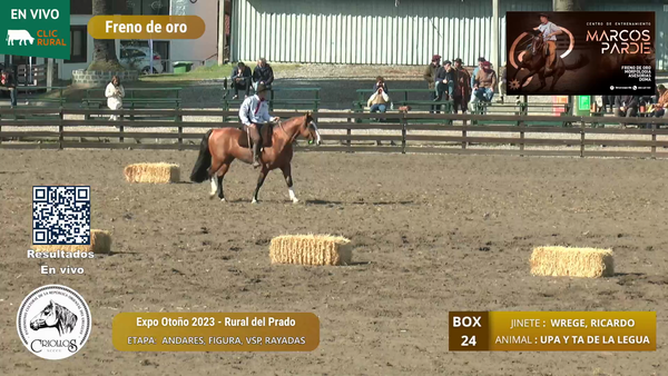 Lote UPA Y TA DE LA LEGUA - BRUSTOLIN E HIJOS, AIRTON
