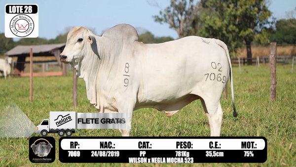 Lote LOTE 28  RP 7069