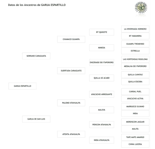 Lote Cabaña "El Espartillo" - RP 93 - Garua El Espartillo
