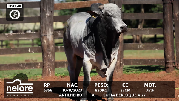 Lote LOTE 48
