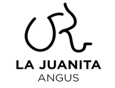 Lote Selección de Toros La Juanita