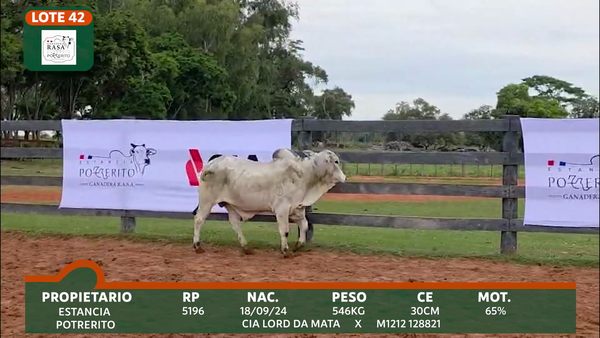 Lote POTRERITO