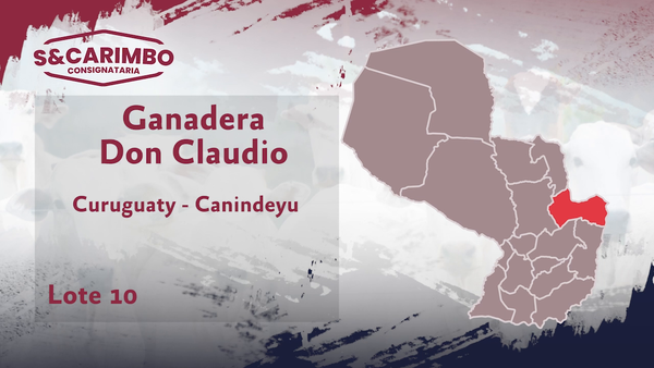 Lote 40 Vacas p/invernada