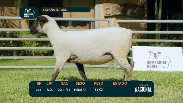 Lote LOTE 4 - CABAÑA EL TOKE - RP 342