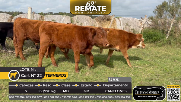 Lote 7 Terneros en Paso del Bote. A 5 km de Los Cerrillos, Canelones