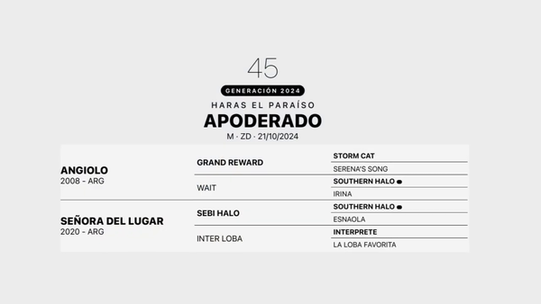 Lote APODERADO