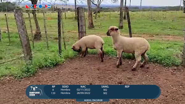 Lote LOTE 76 - CAMPO