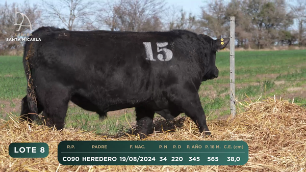 Lote TOROS PC a CAMPO con DEPs