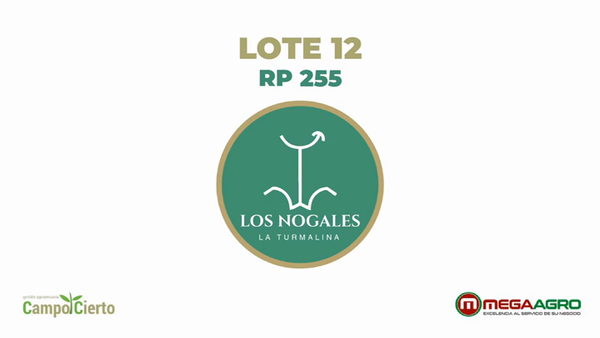Lote LOS NOGALES