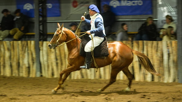 Lote CARTU TYARA