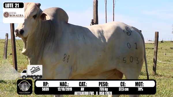 Lote LOTE  21 -RP 5039