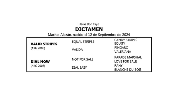 Lote DICTAMEN