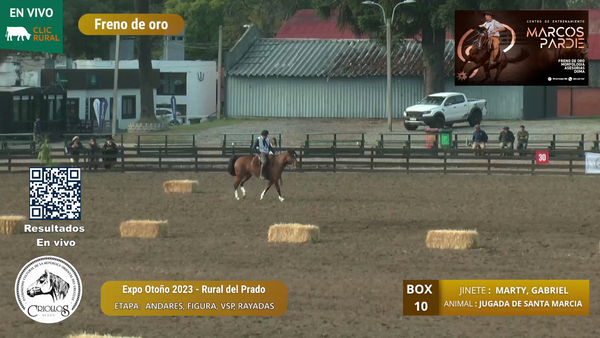 Lote ZOADA DA BOA VISTA-TE - LENGUAS, FRANCISCO