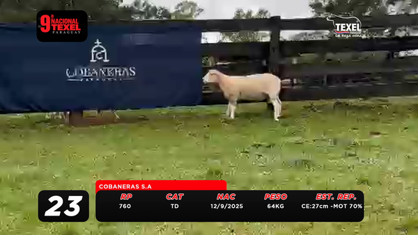 Lote LOTE 23
