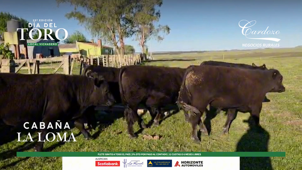 Lote La Loma - Angus