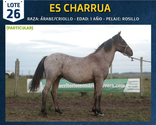 Lote ES CHARRUA