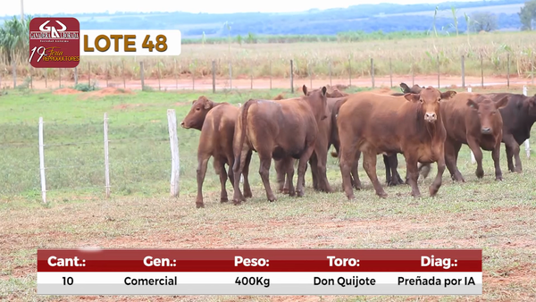Lote Reproductores de Alborada - Lote 48