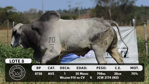 Lote LOTE 8