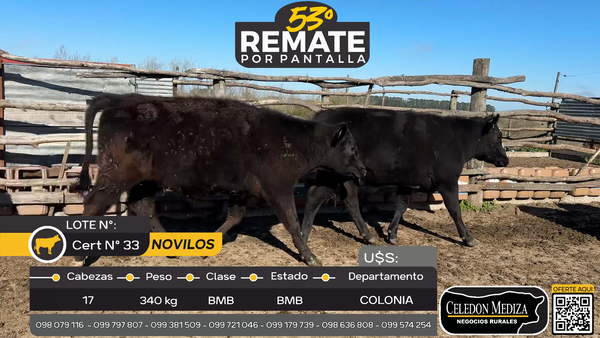 Lote 17 Novillos en Manantiales, Colonia