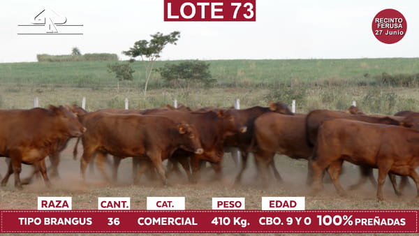 Lote Reproductores de Alborada - Lote 73