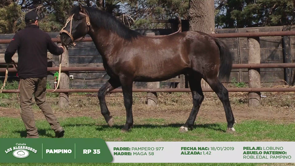 Lote EQUINO CABAÑA LOS ALGARROBOS