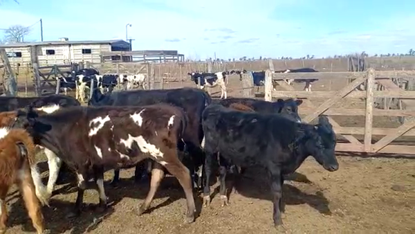 Lote Leandro Nisnovich