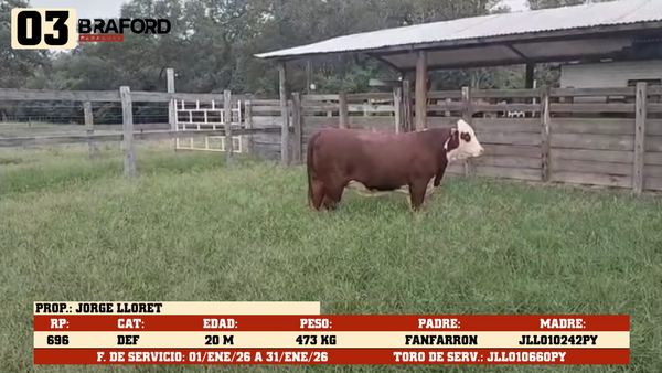 Lote LOTE 3