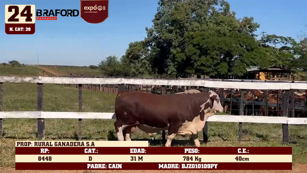 Lote LOTE 24
