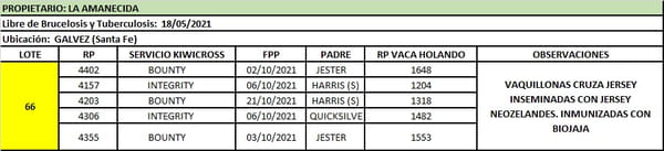 Lote Lote 66 La amanecida