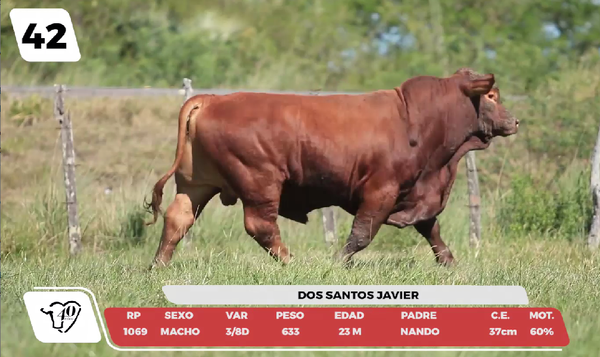 Lote LOTE 42-DE CAMPO
