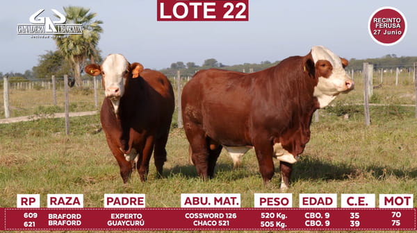 Lote Reproductores de Alborada - Lote 22