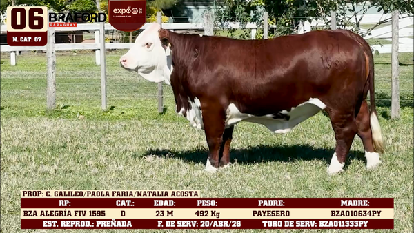 Lote LOTE 6