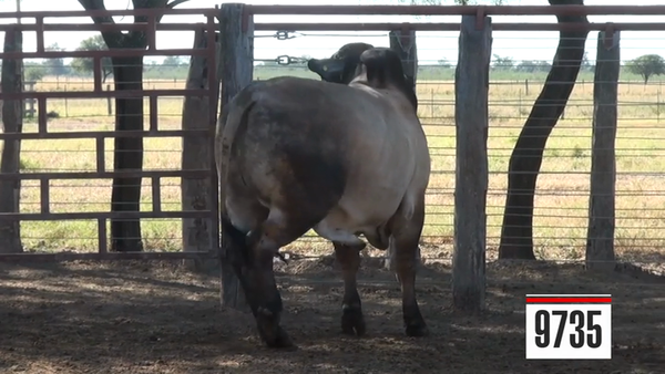 Lote Brahman