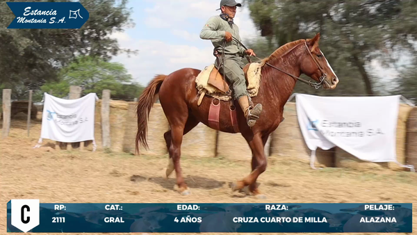 Lote LOTE C