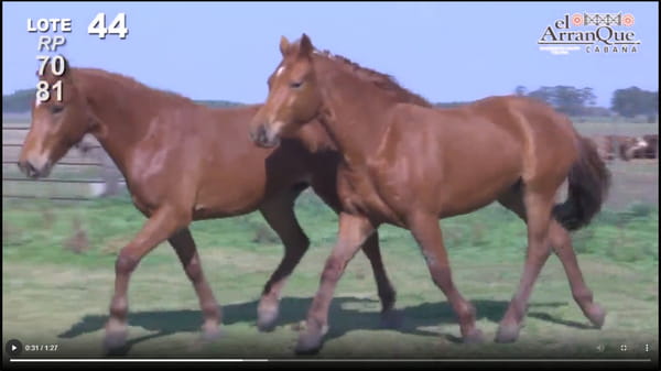 Lote 2 Potrancas Cuarto de MIlla - Santa Anita, Entre Rios