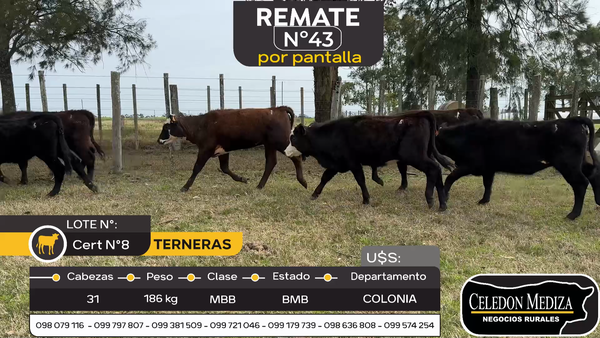 Lote 31 Terneras en Otra Localidad, Colonia