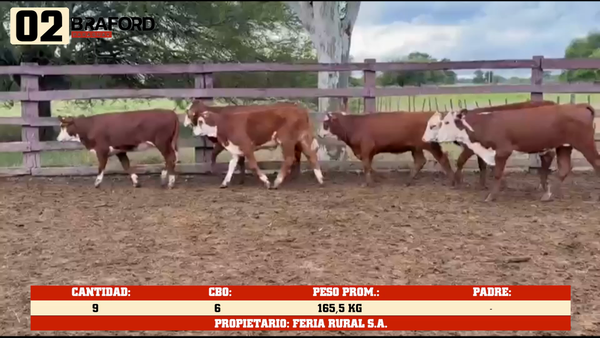 Lote LOTE 2